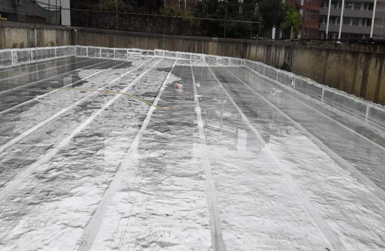 圖片11.png 圖片11.png