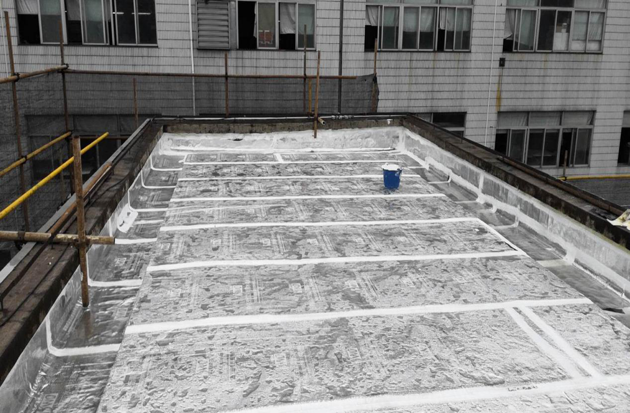 圖片12.png 圖片12.png